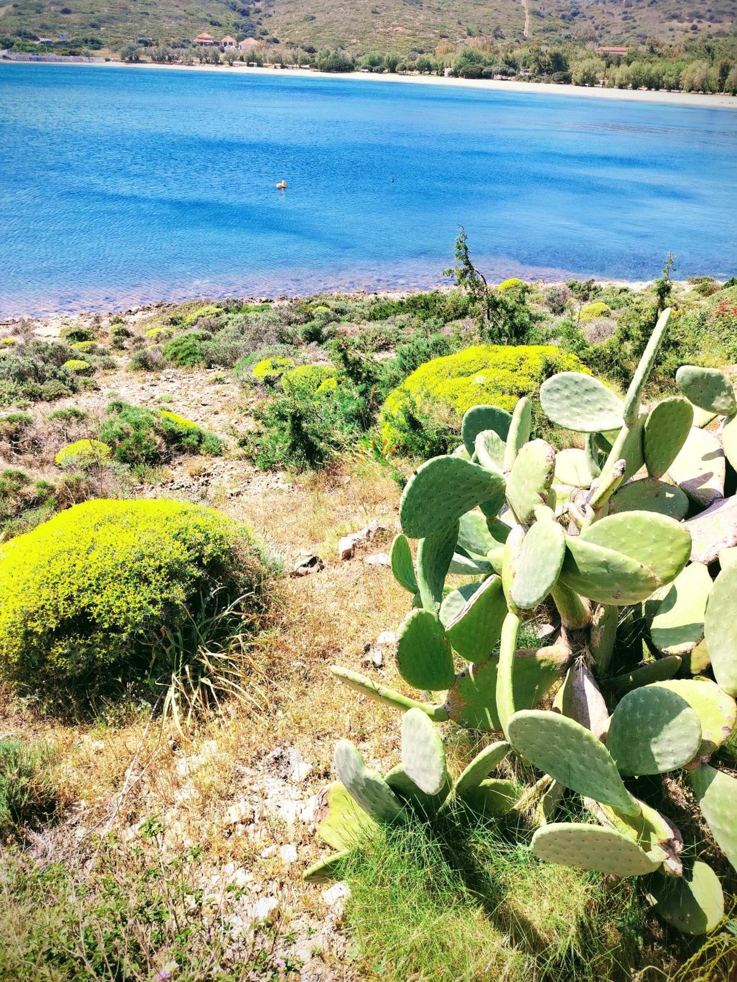 Cap Sounion Seafront Apartment - Adults Only 외부 사진