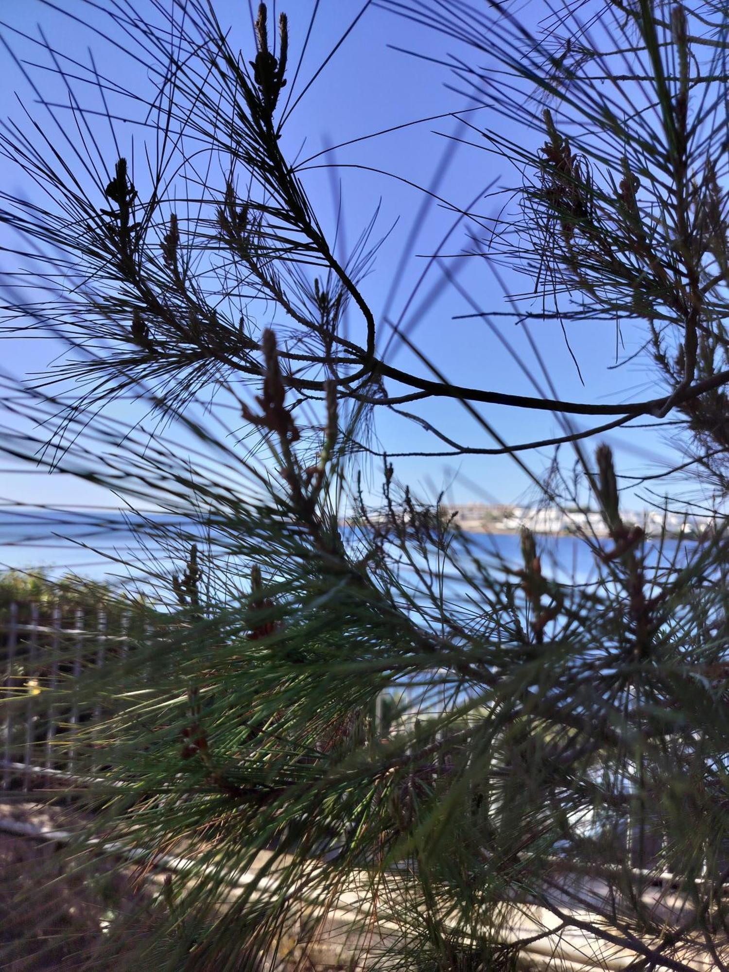 Cap Sounion Seafront Apartment - Adults Only 외부 사진