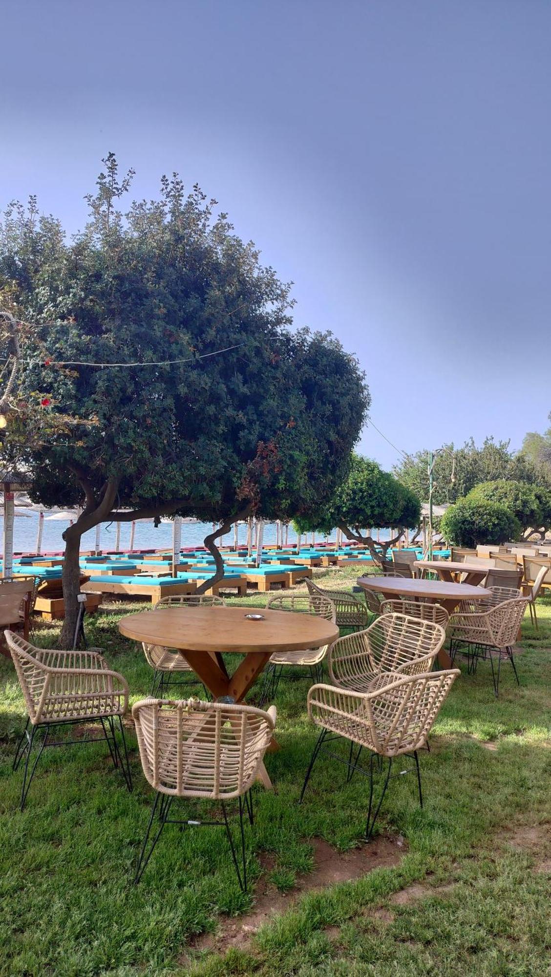 Cap Sounion Seafront Apartments -Adults Only 외부 사진