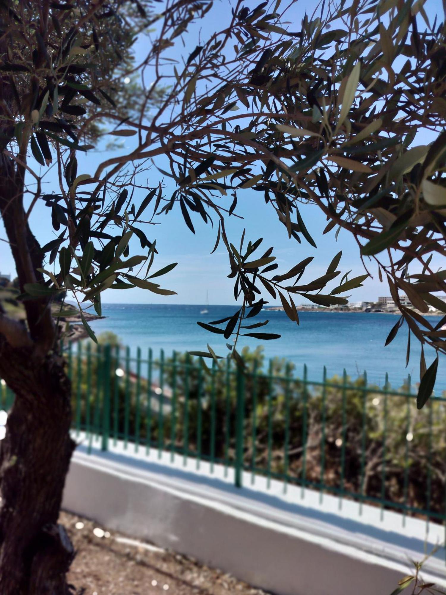 Cap Sounion Seafront Apartment - Adults Only 외부 사진