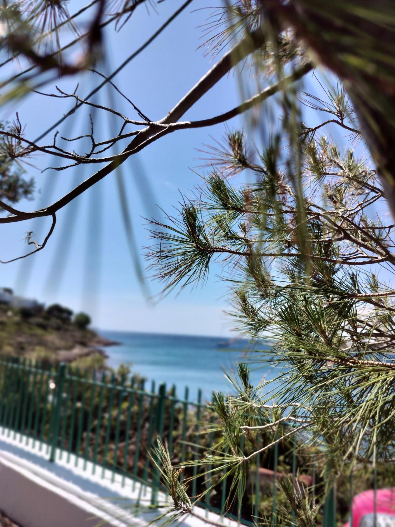 Cap Sounion Seafront Apartments -Adults Only 외부 사진